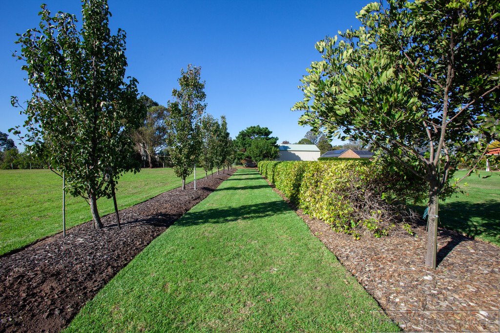 10 Forsythe Parade BLACK HILL 26