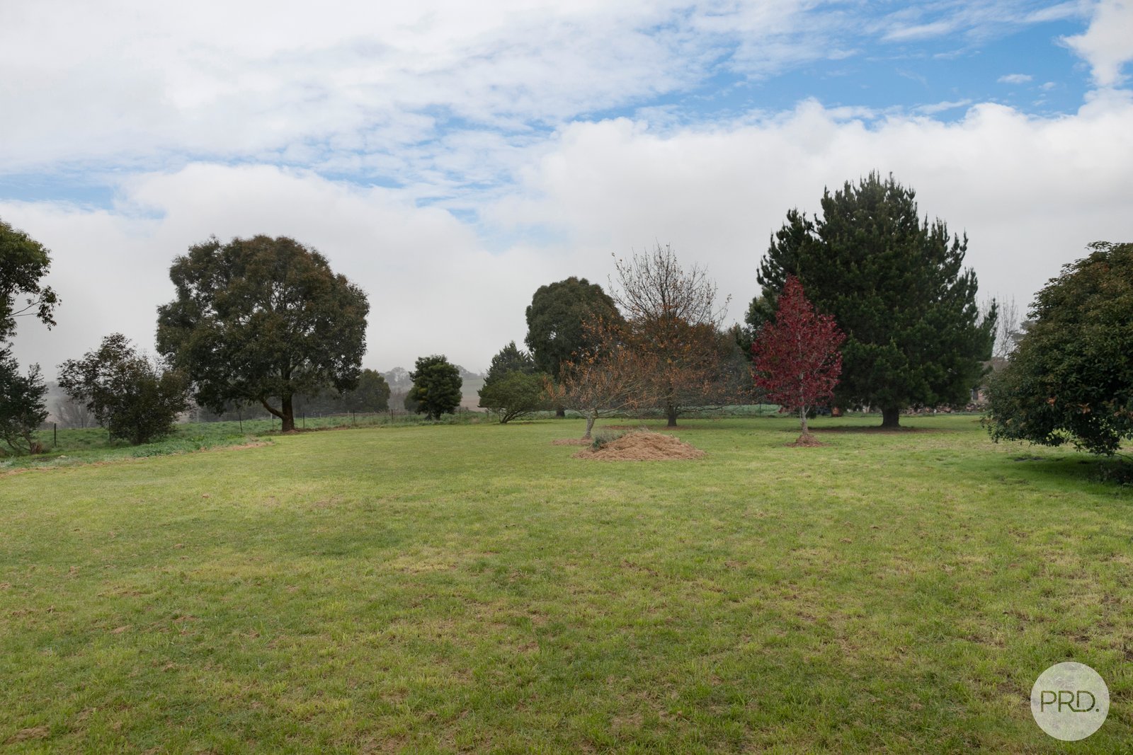 10 Greeves Street CLARENDON 14