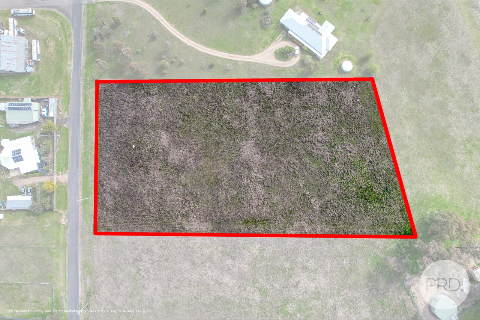 10 Hall Street WILLOW TREE 2