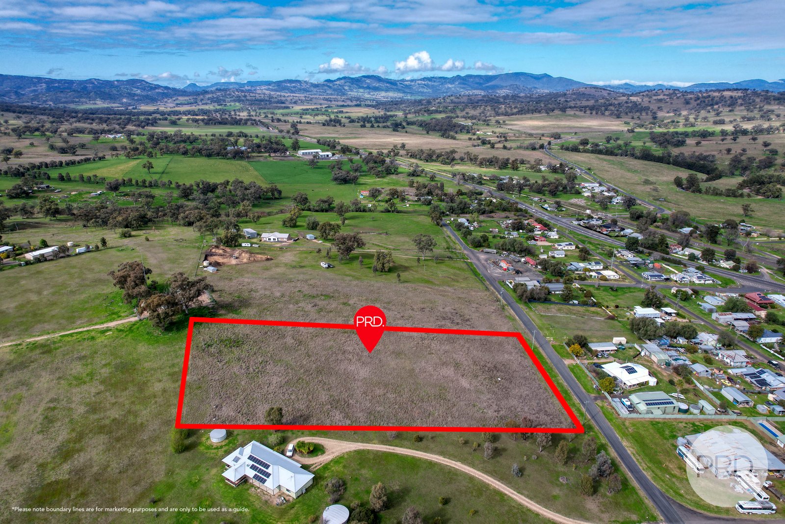 10 Hall Street WILLOW TREE 3