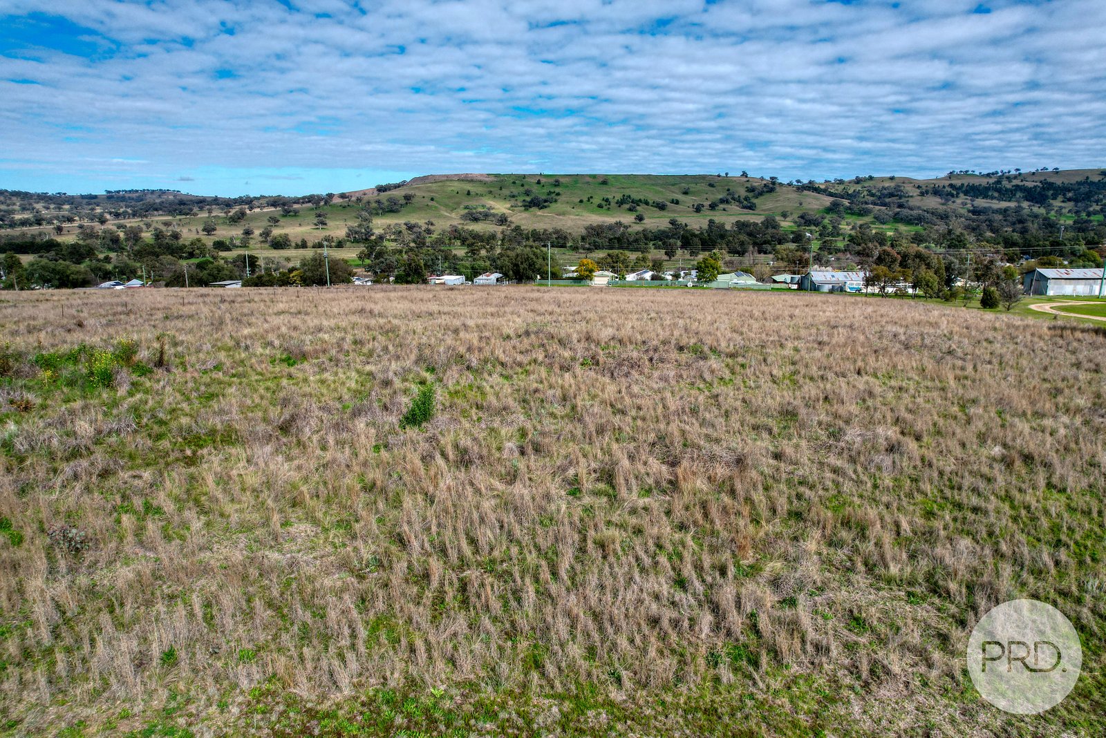 10 Hall Street WILLOW TREE 4