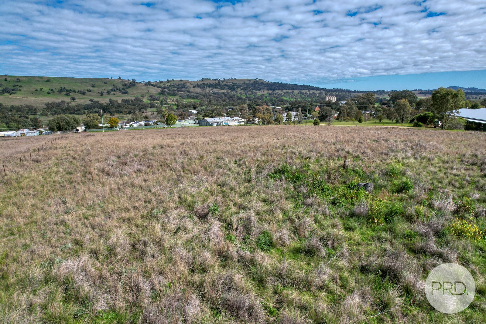 10 Hall Street WILLOW TREE 5