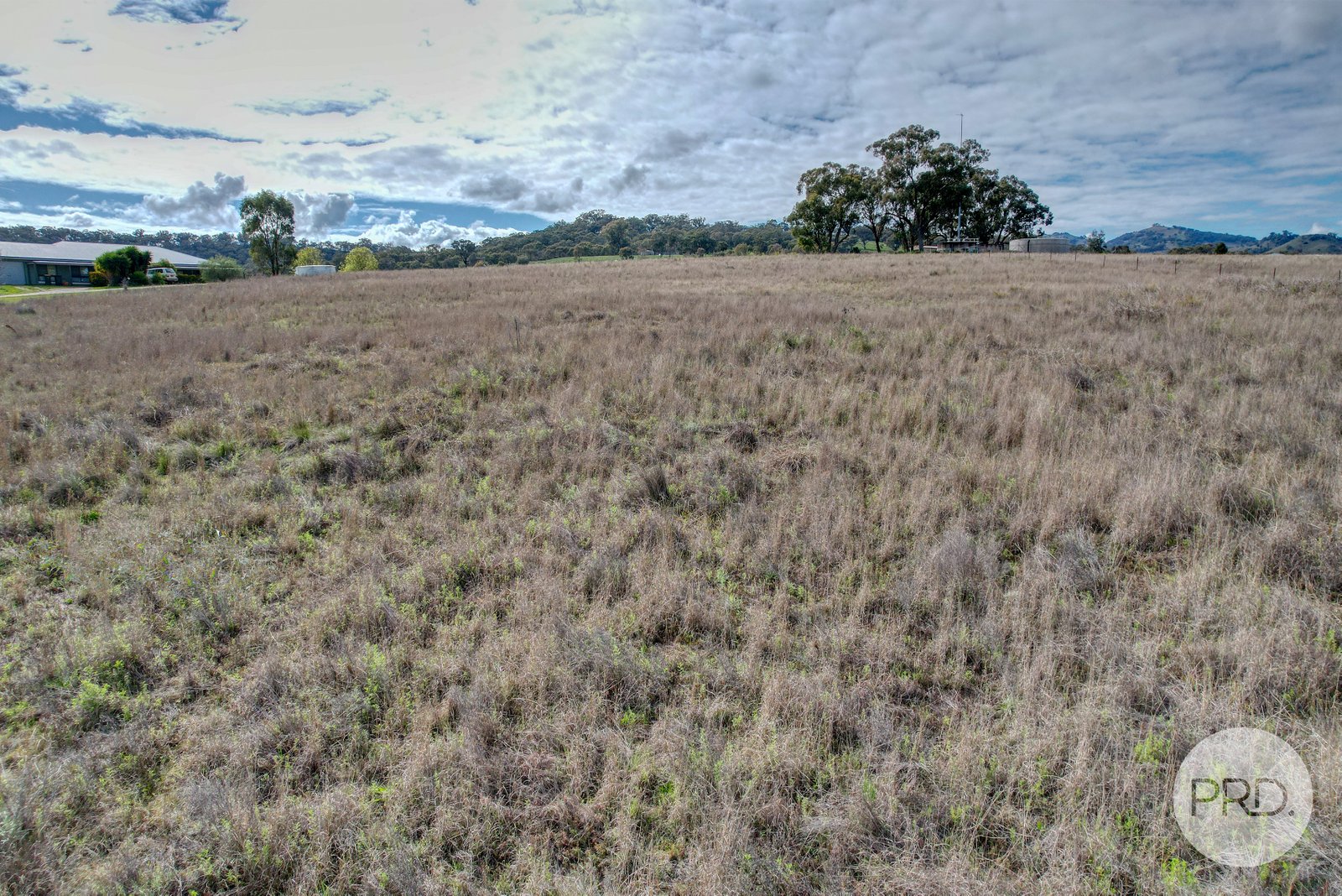 10 Hall Street WILLOW TREE 6