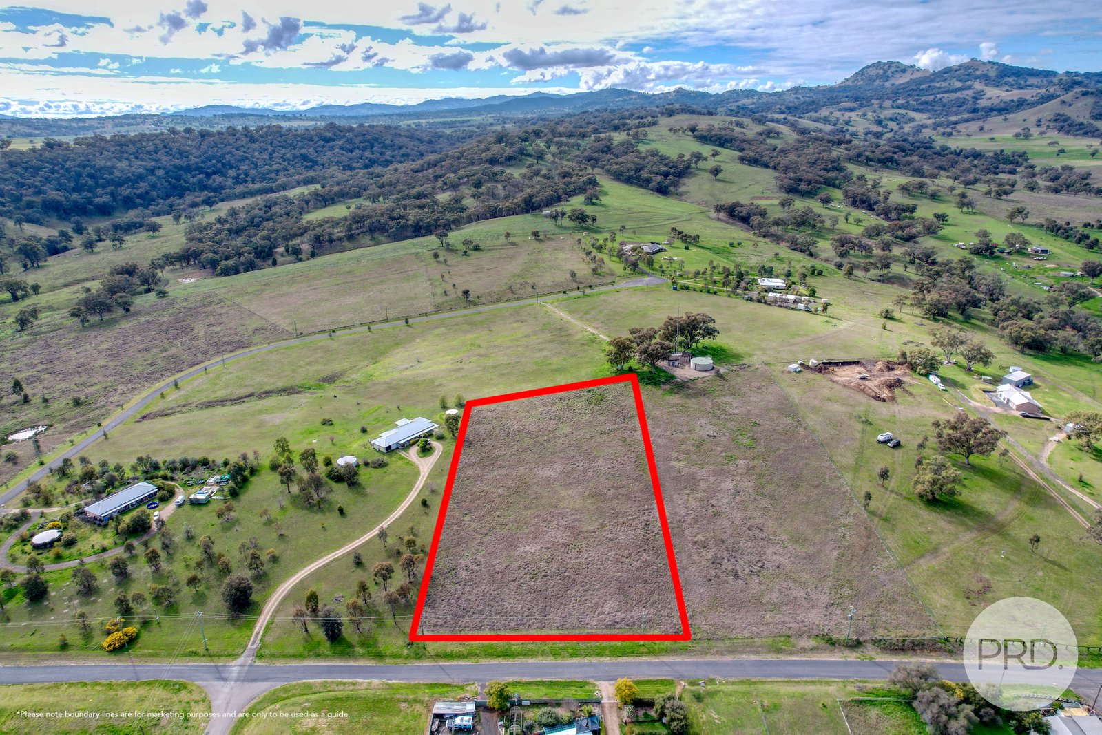 10 Hall Street WILLOW TREE 7