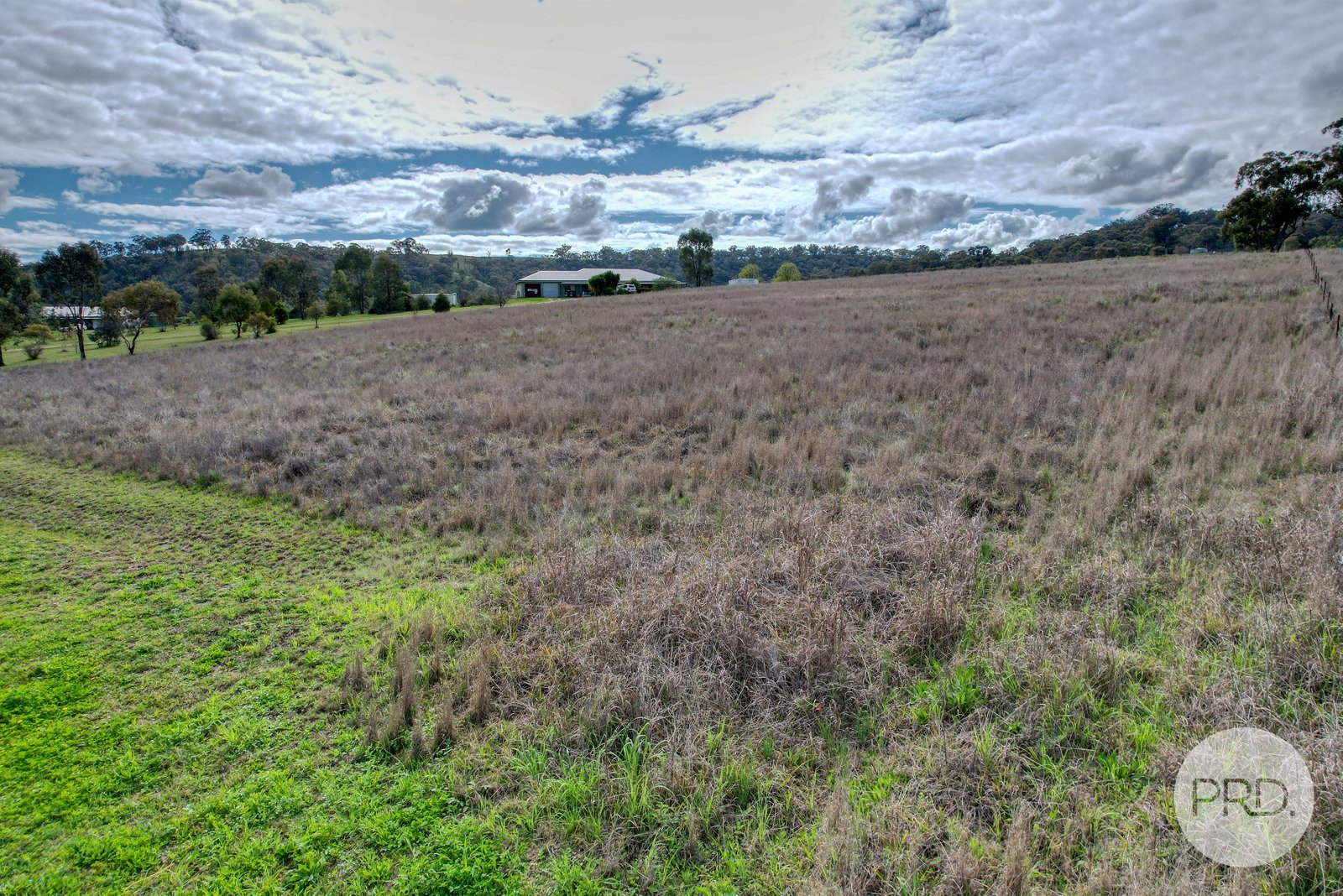 10 Hall Street WILLOW TREE 9