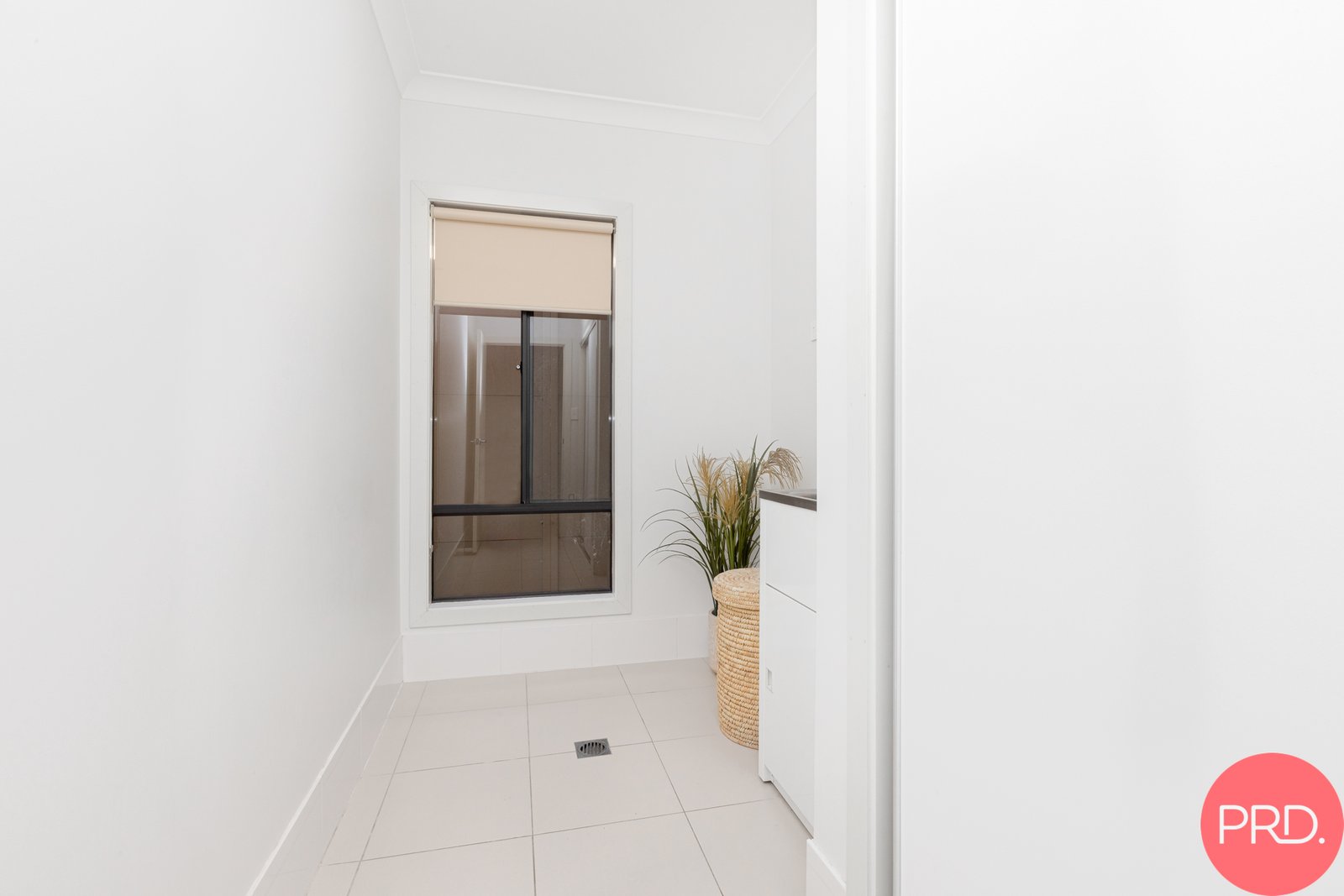 10 Harkin Road NORTH ROTHBURY 24