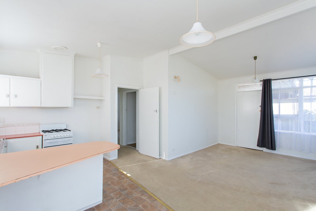 Gallery: 10 Harold Street