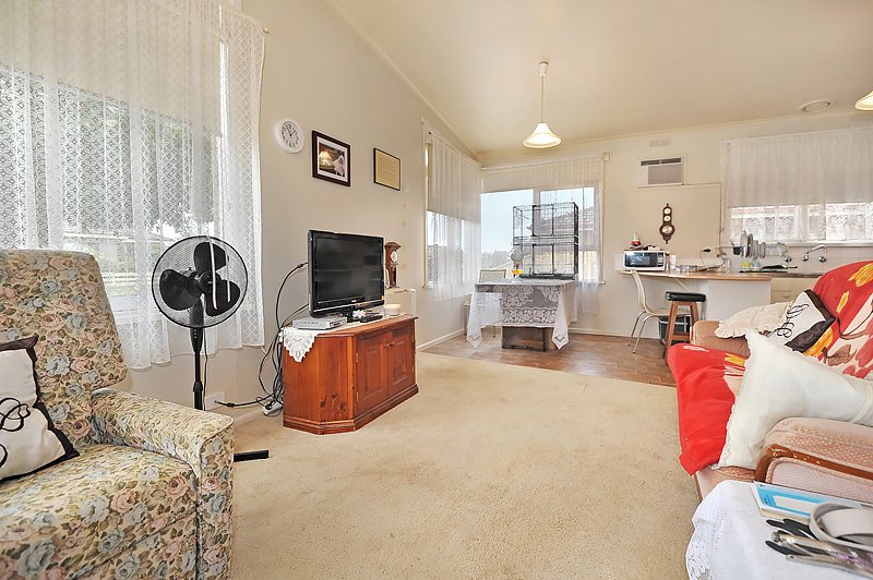 Gallery: 10 Harold Street