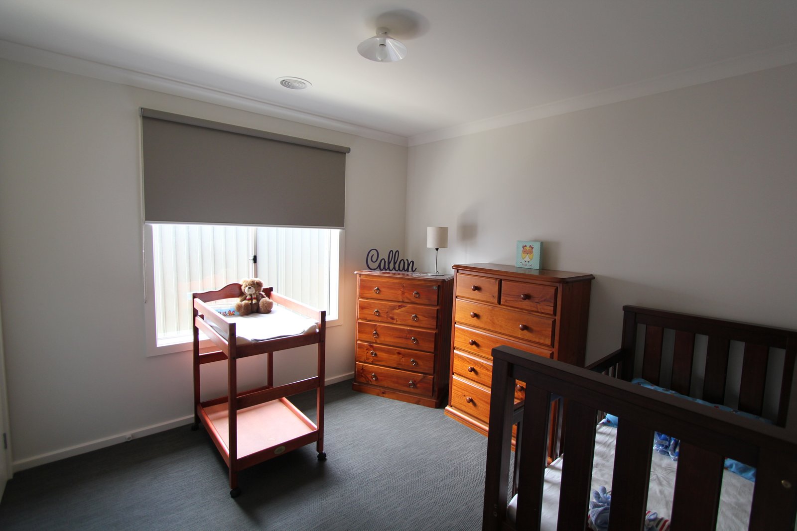 10 Harris Drive LUCAS 11