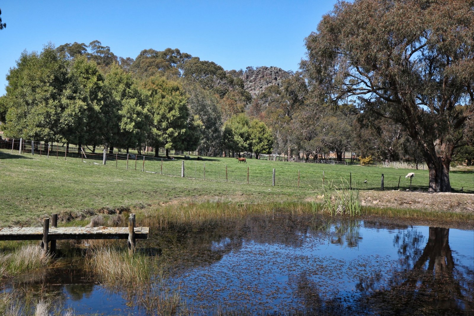 Real Estate and Property in 10 Highland Lane, Newham, VIC