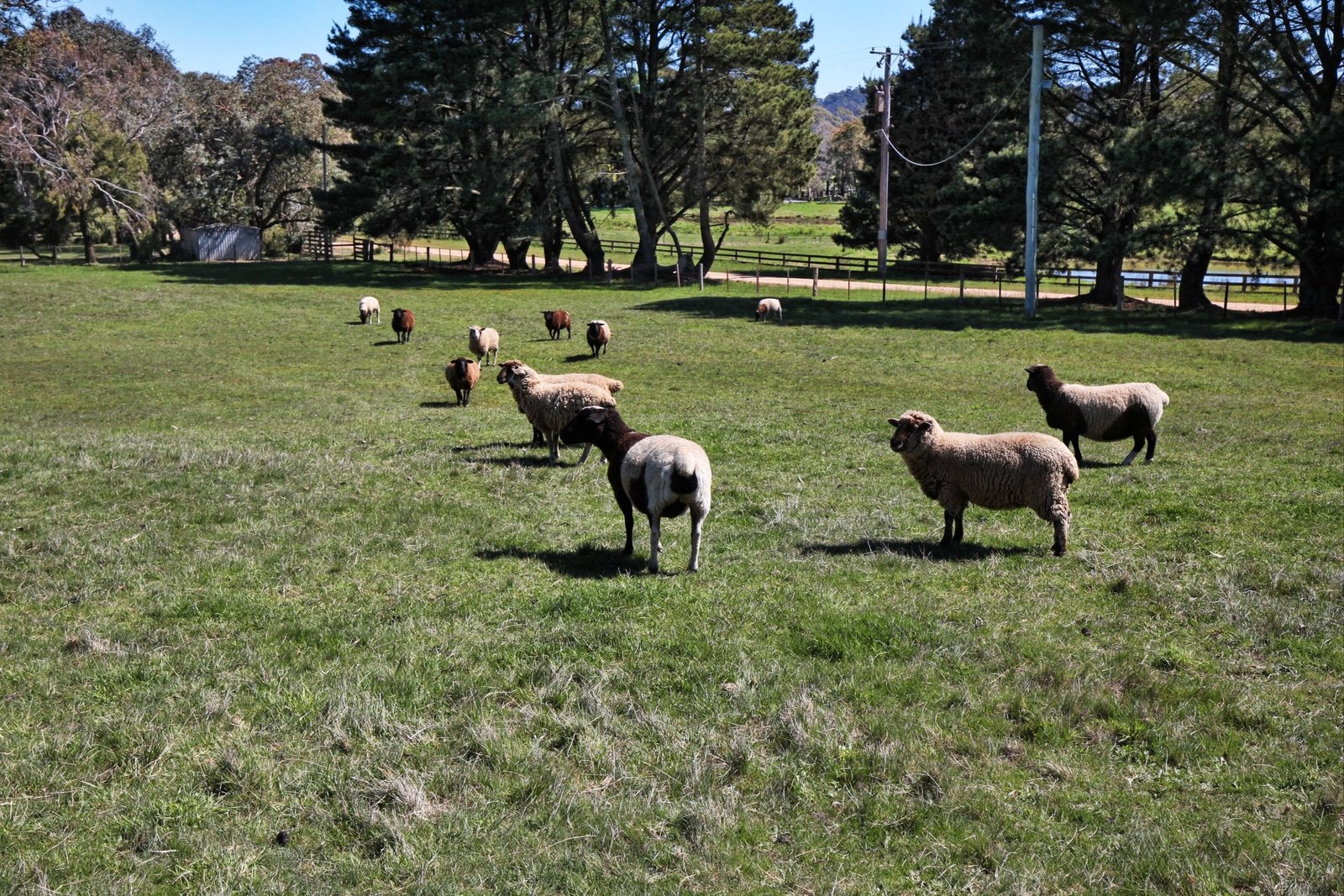 Real Estate and Property in 10 Highland Lane, Newham, VIC