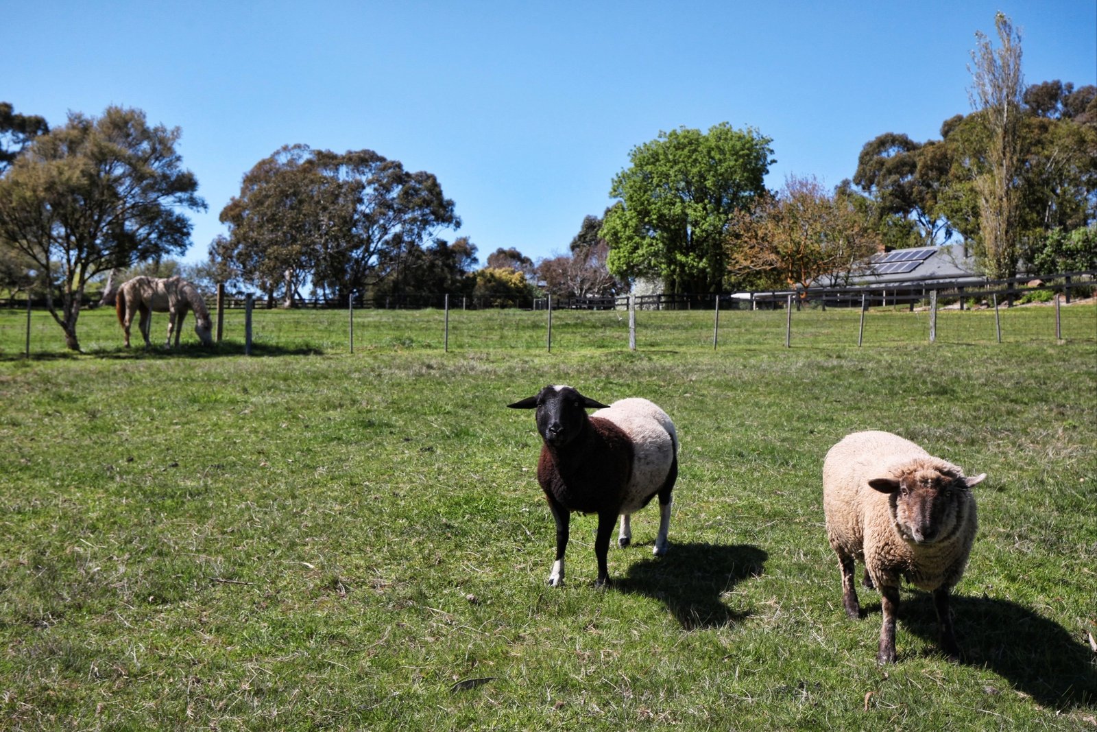 Real Estate and Property in 10 Highland Lane, Newham, VIC