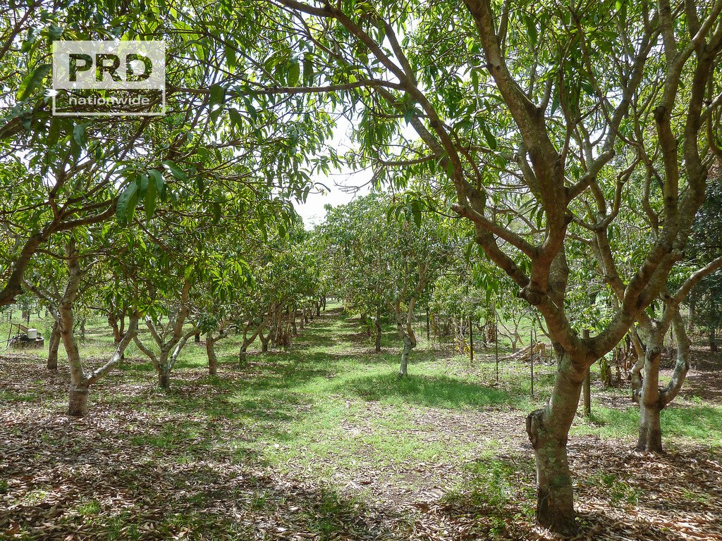 10 Hillside Drive FAIRY HILL 3