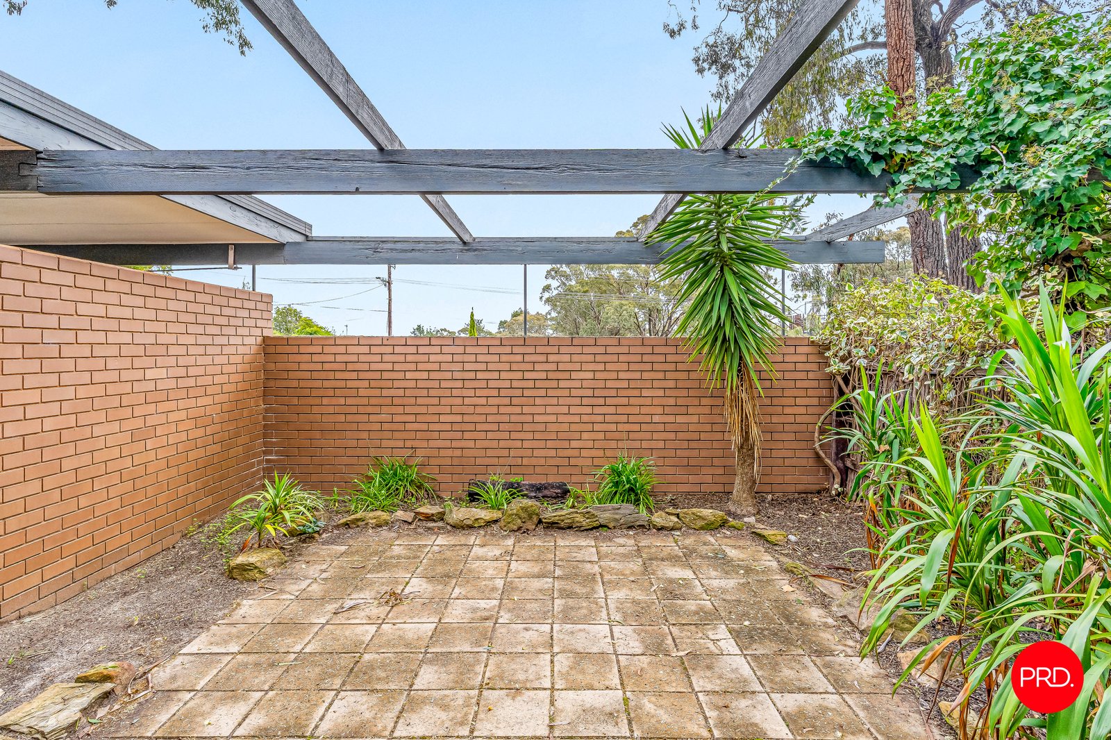 10 Hillview Street FLORA HILL 11