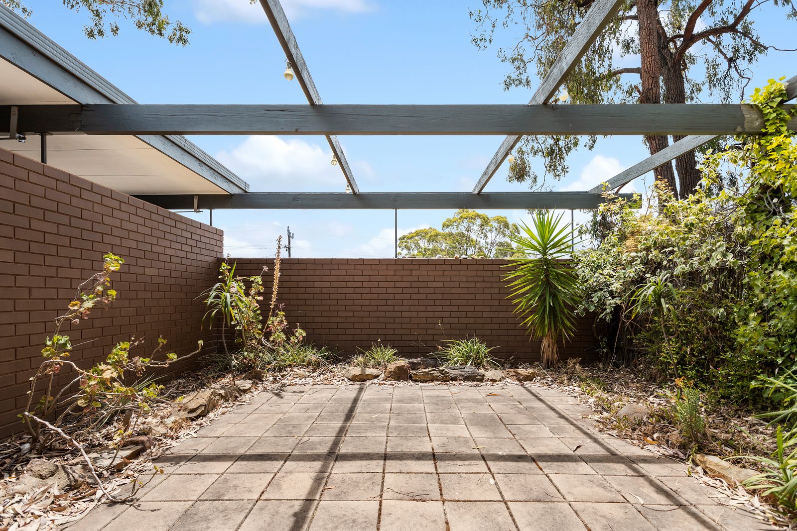 10 Hillview Street FLORA HILL 11