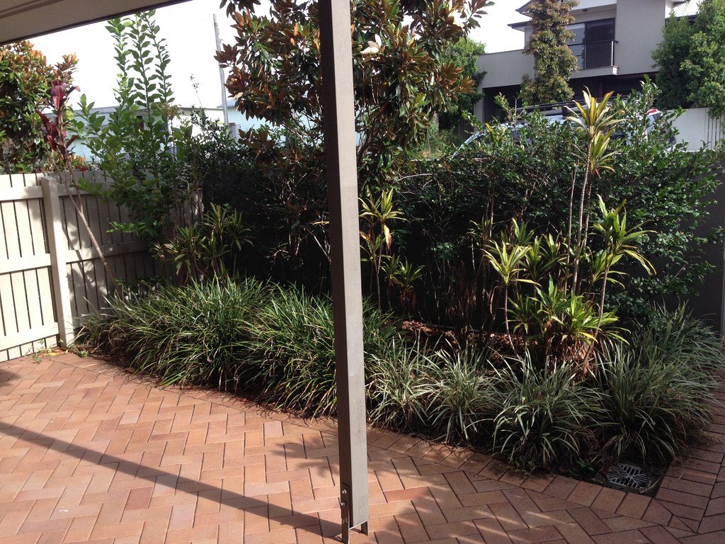 10 Hutchins Street KEDRON 8