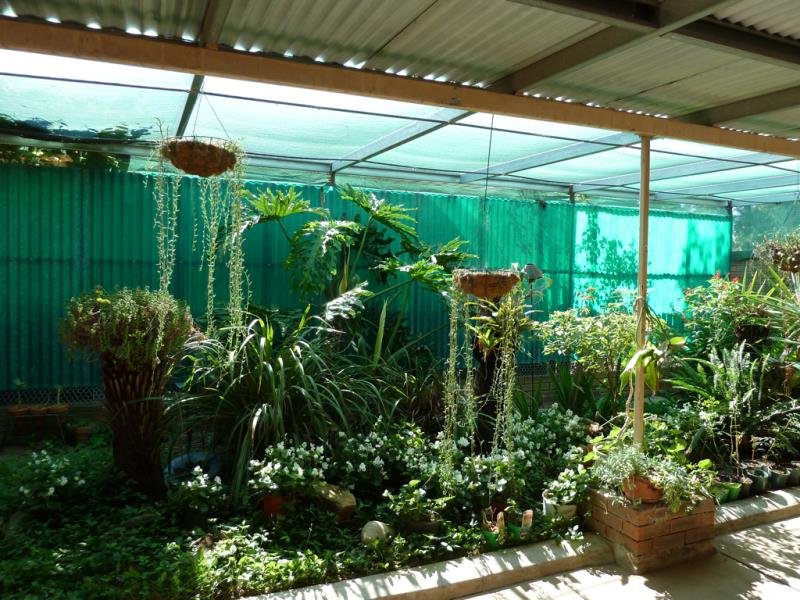 10 Incarnie Crescent WAGGA WAGGA 2