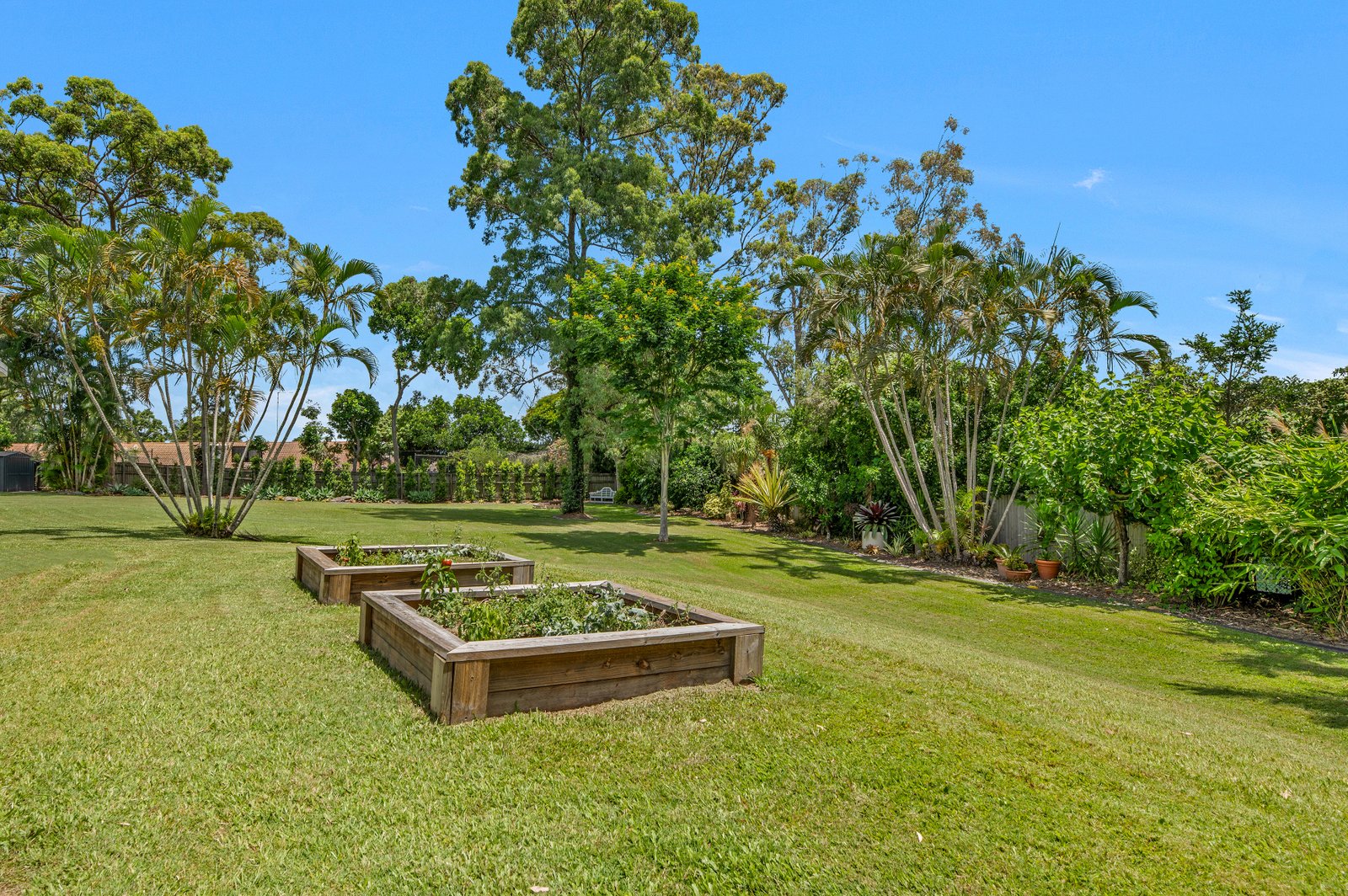 10 Jacana Street ASHMORE 30