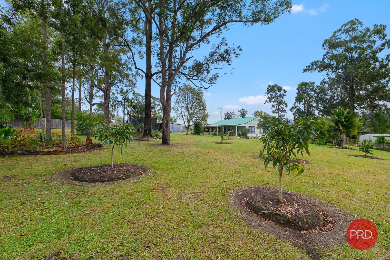 10 Kingfisher Ave  GLENREAGH 22