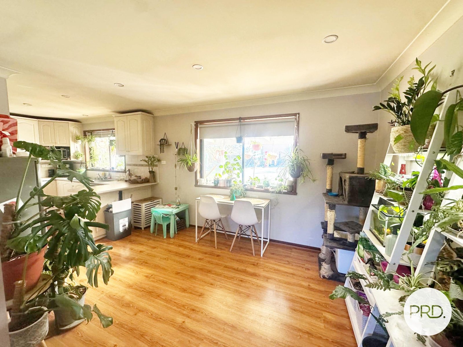 10 Lyne Street TUMBARUMBA 4