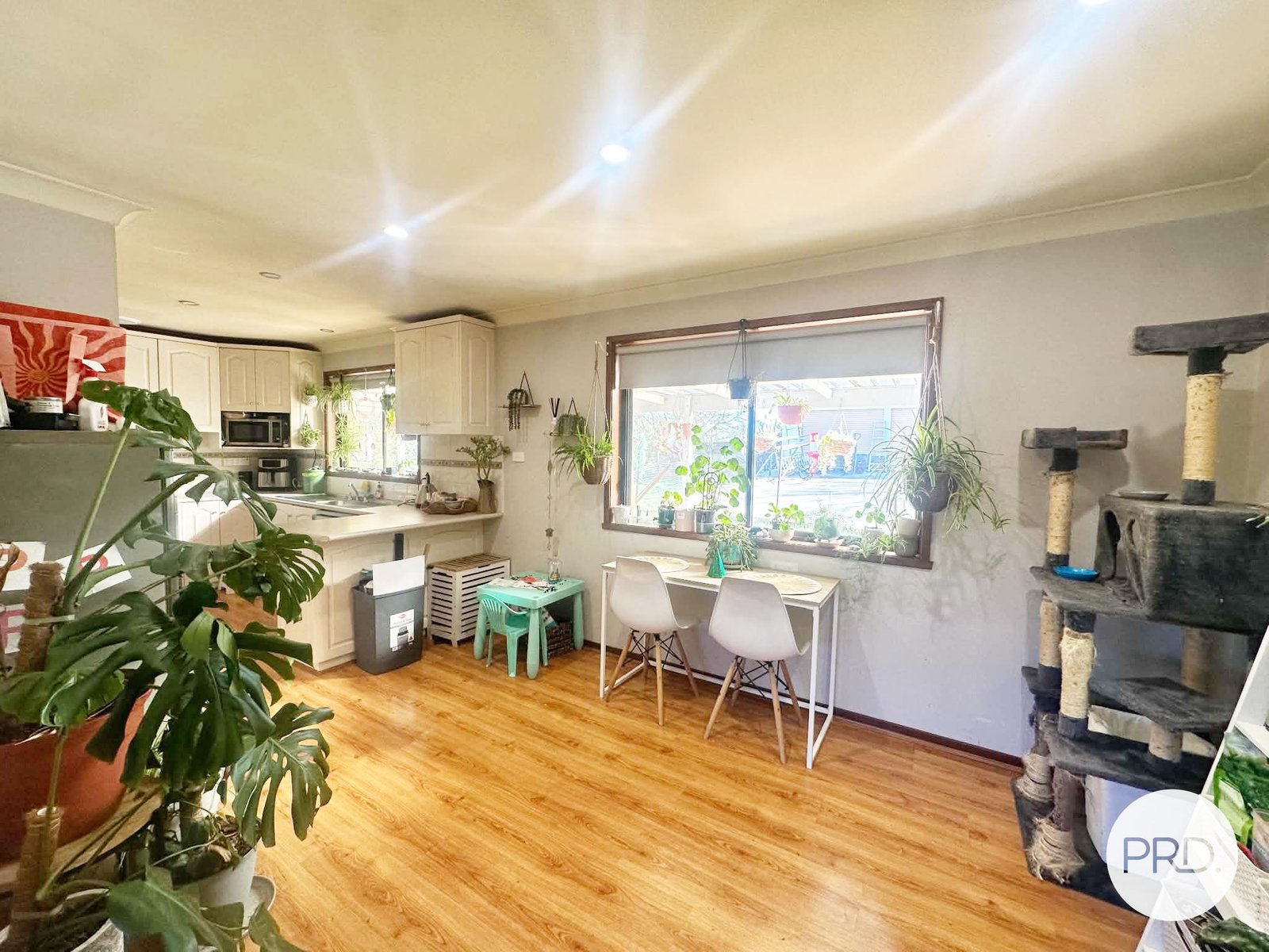 10 Lyne Street TUMBARUMBA 5