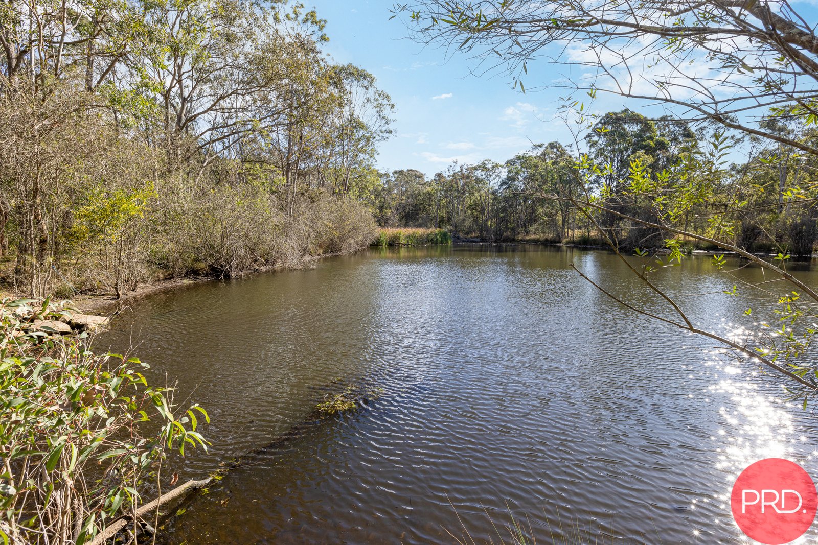 10 Mansfield Street GRETA 33