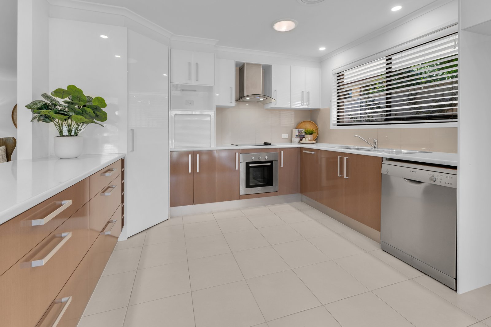 10 Mingaletta Drive ASHMORE 6