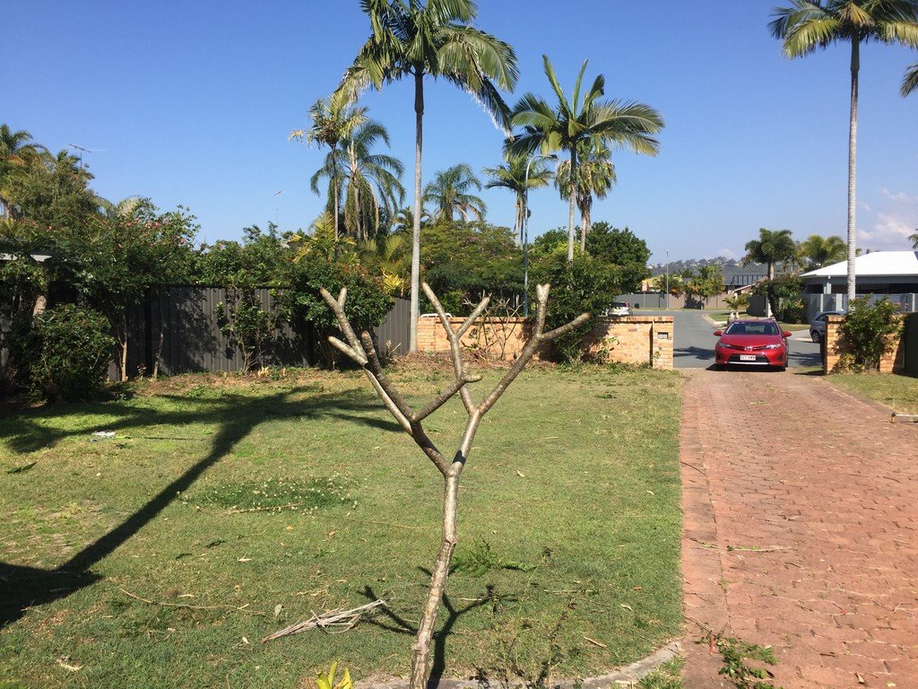 10 Moorhen Place BURLEIGH WATERS 9