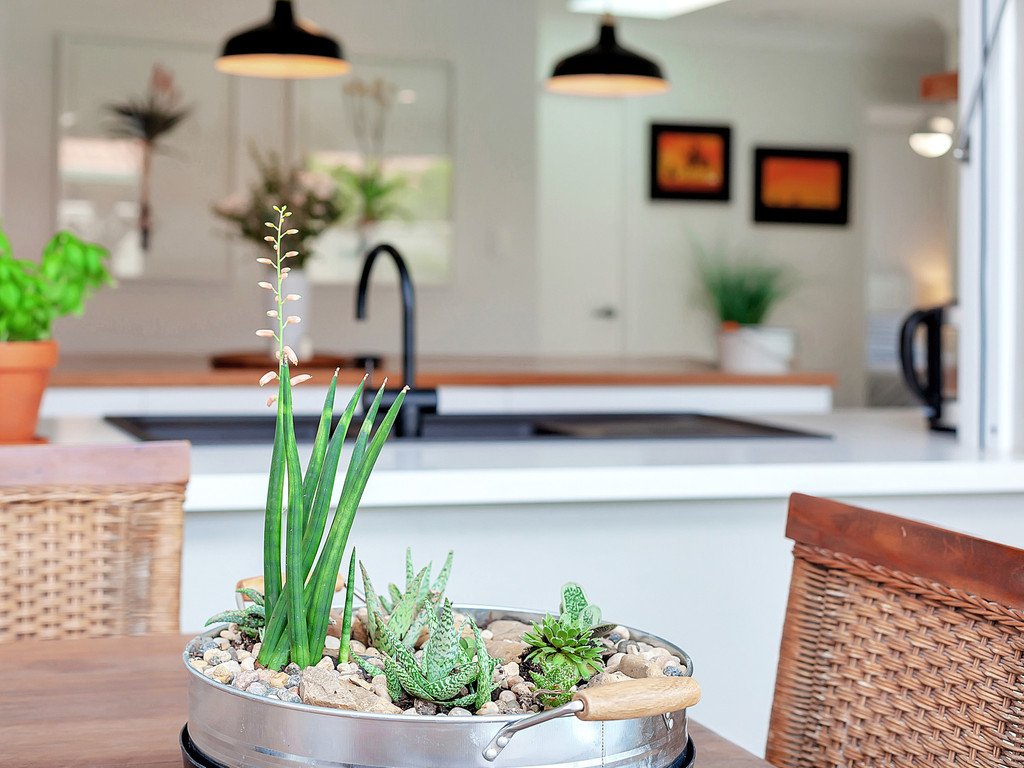 10 Myna Way BURLEIGH WATERS 15