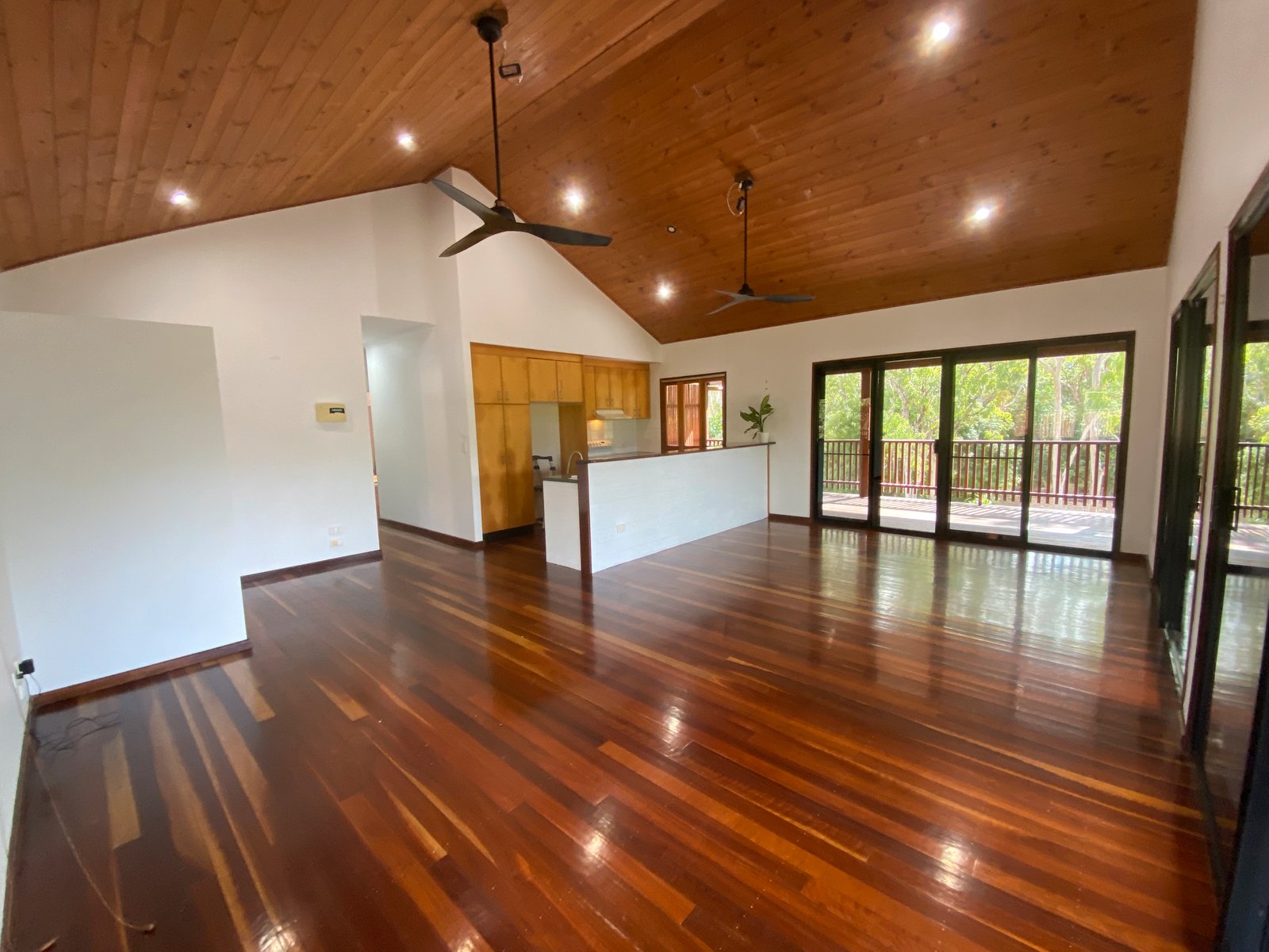 10 Namanula Drive FLAMETREE 4