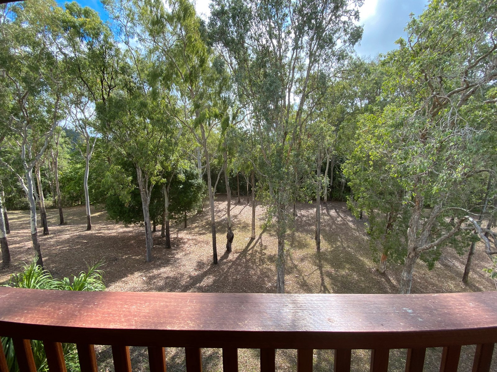 10 Namanula Drive FLAMETREE 8