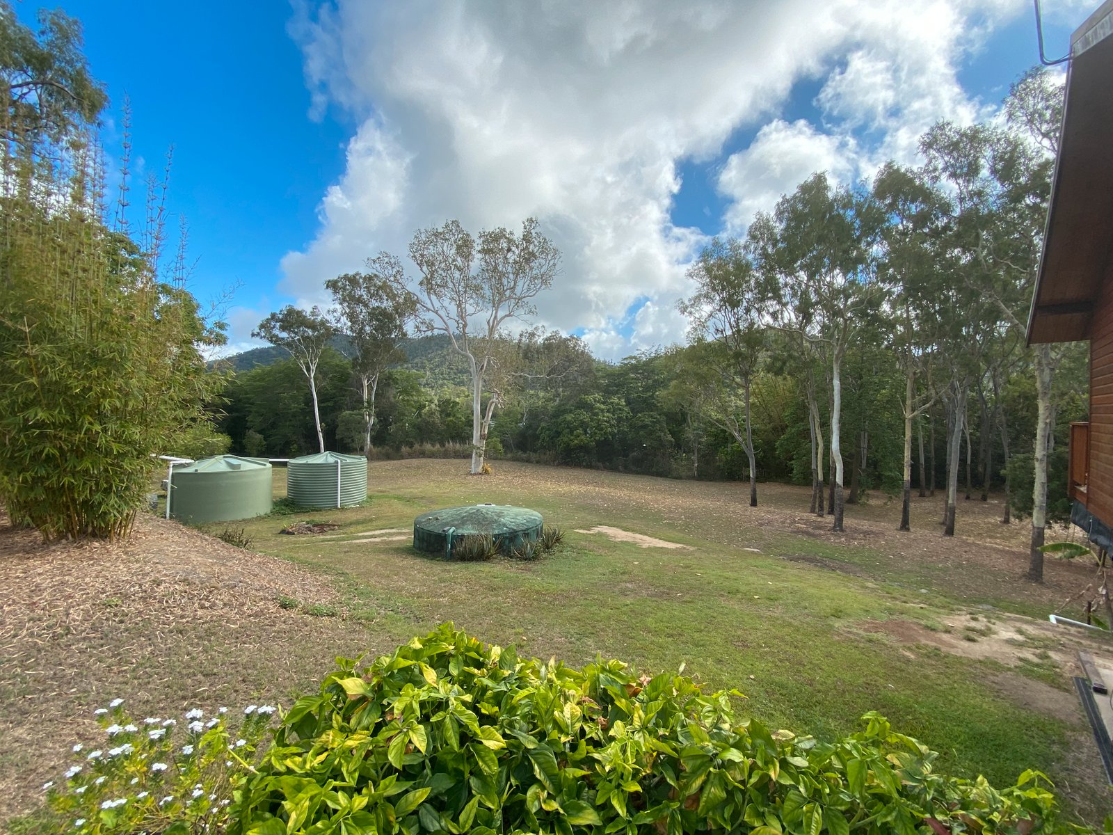 10 Namanula Drive FLAMETREE 15