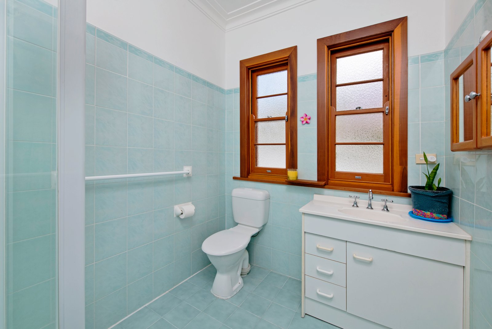 10 Norman Street LAURIETON 9