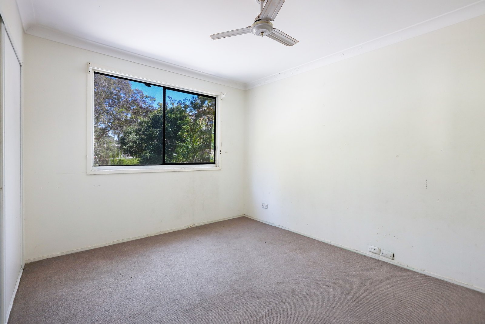 10 Patonga Street ASHMORE 14