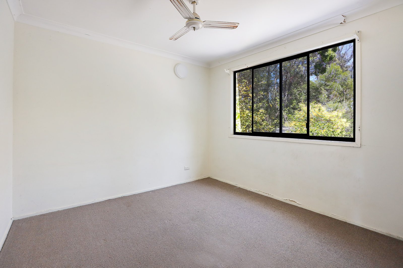 10 Patonga Street ASHMORE 15