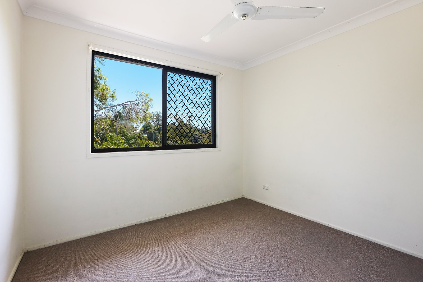 10 Patonga Street ASHMORE 16