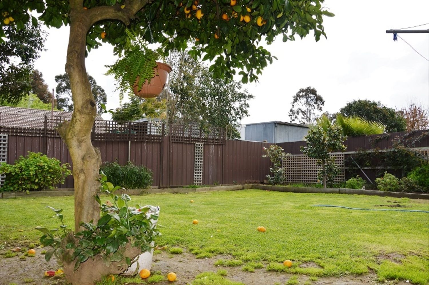 10 Phillips Street SHEPPARTON 6
