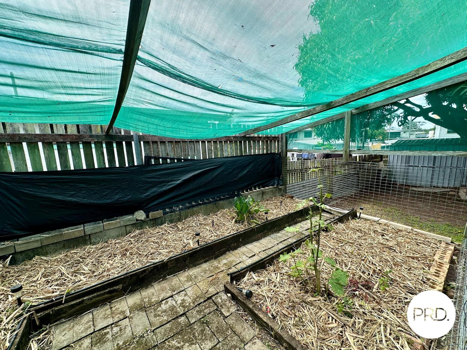 10 Polmaise Street BOYNE ISLAND 18