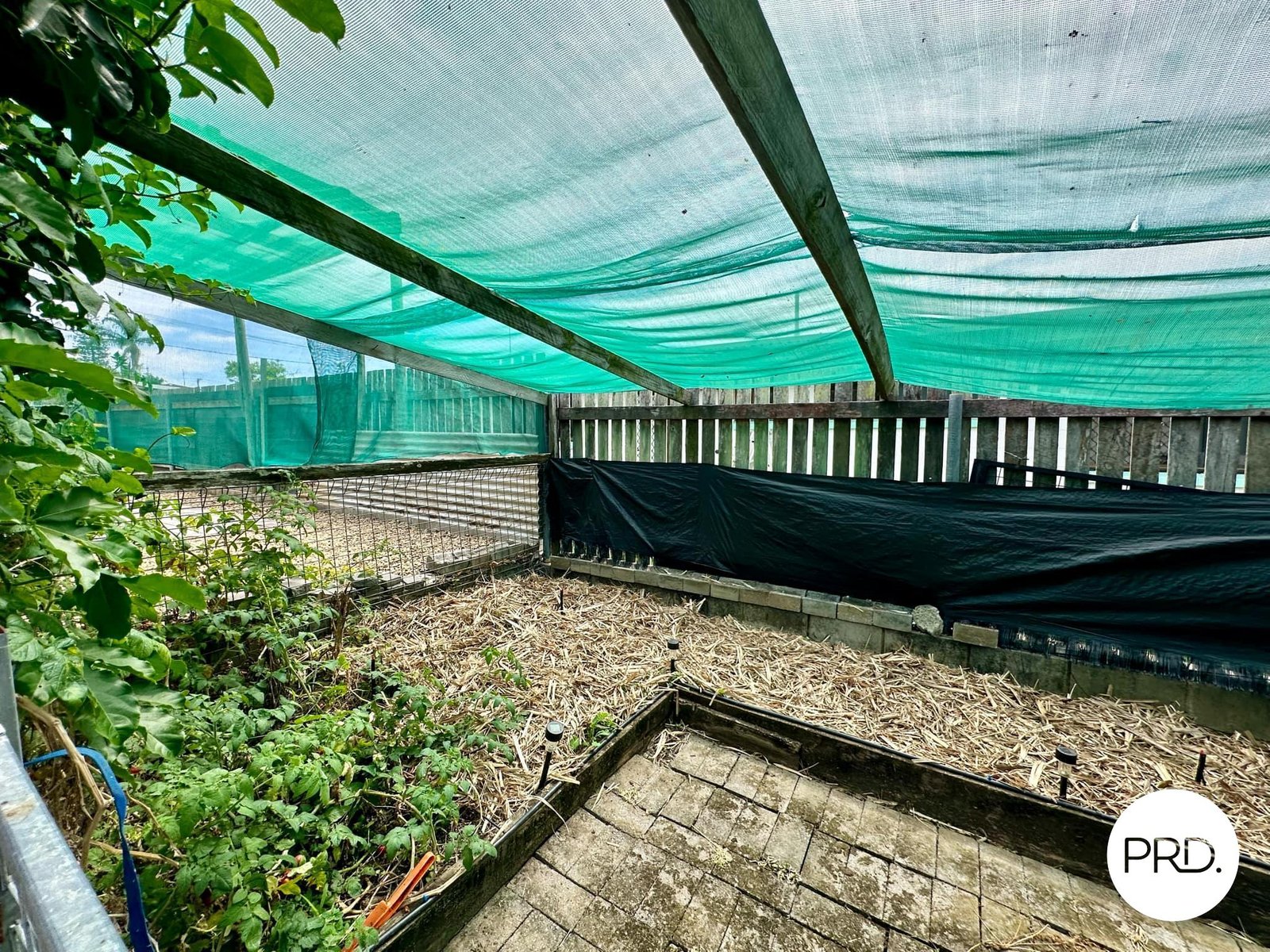 10 Polmaise Street BOYNE ISLAND 19