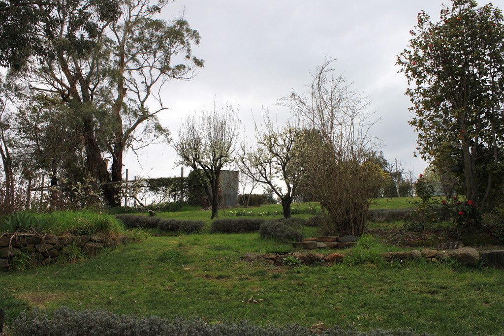 10 Power Street TUMBARUMBA 10