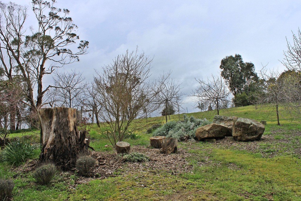 10 Power Street TUMBARUMBA 12