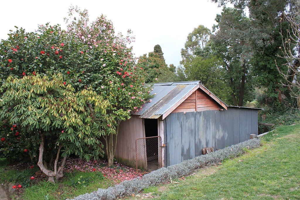 10 Power Street TUMBARUMBA 13