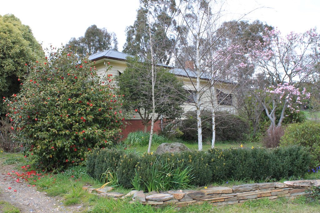 10 Power Street TUMBARUMBA 15