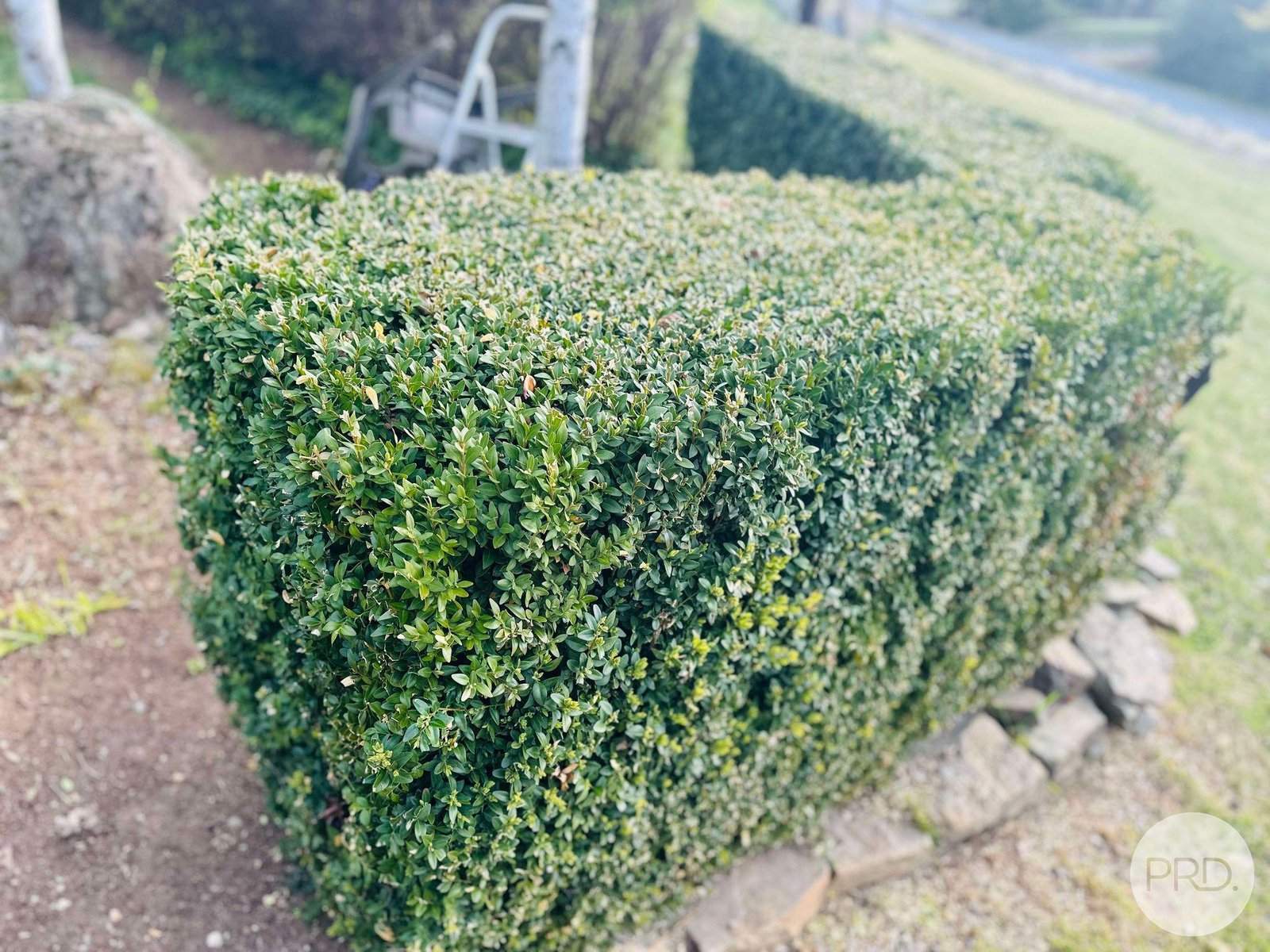 10 Power Street TUMBARUMBA 3