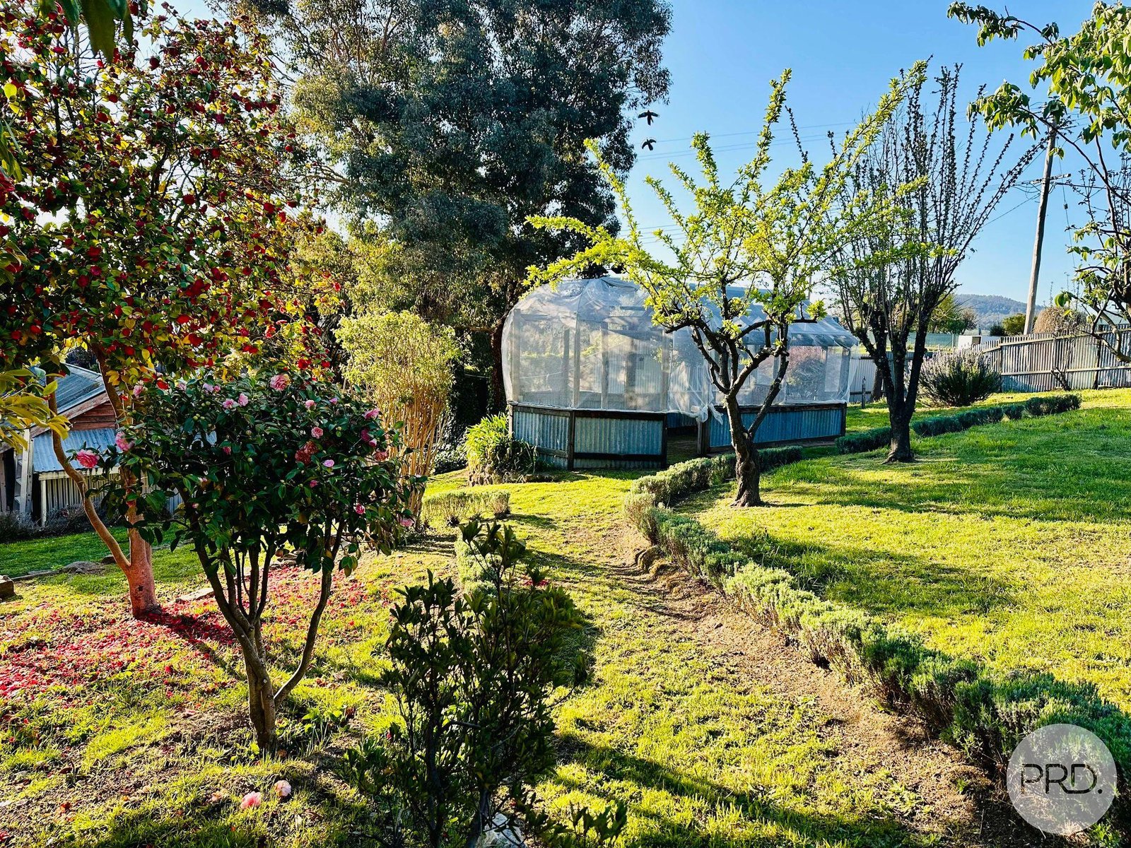 10 Power Street TUMBARUMBA 17