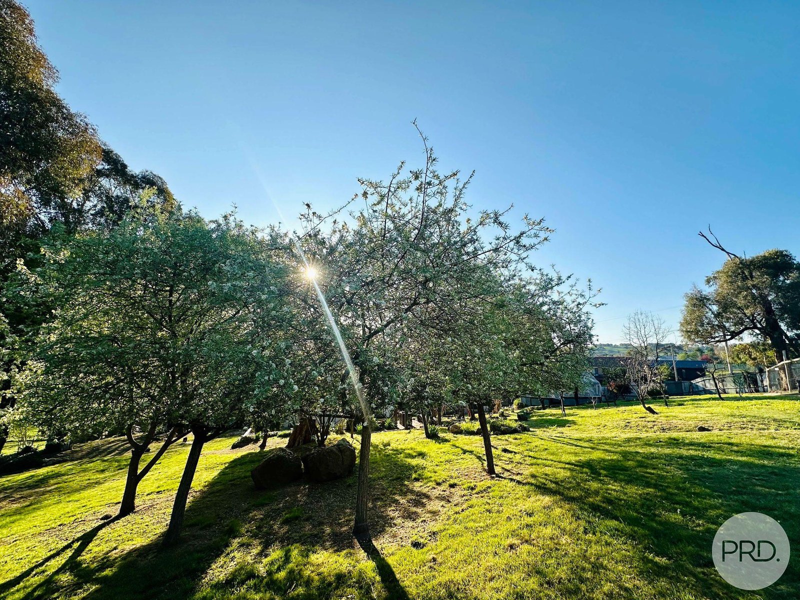 10 Power Street TUMBARUMBA 20