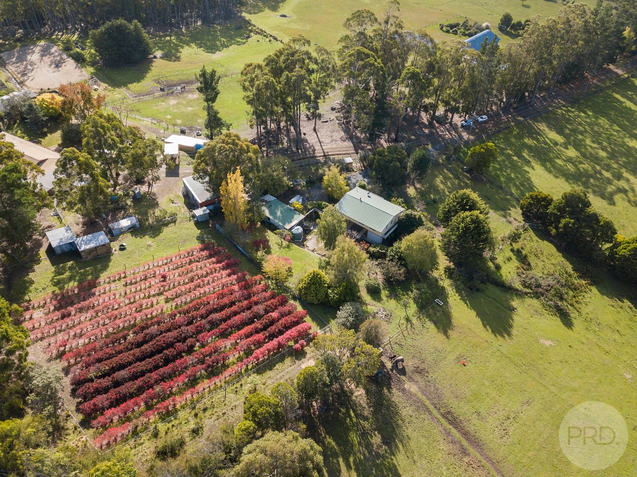 10 Pregnells Road ALLENS RIVULET 6