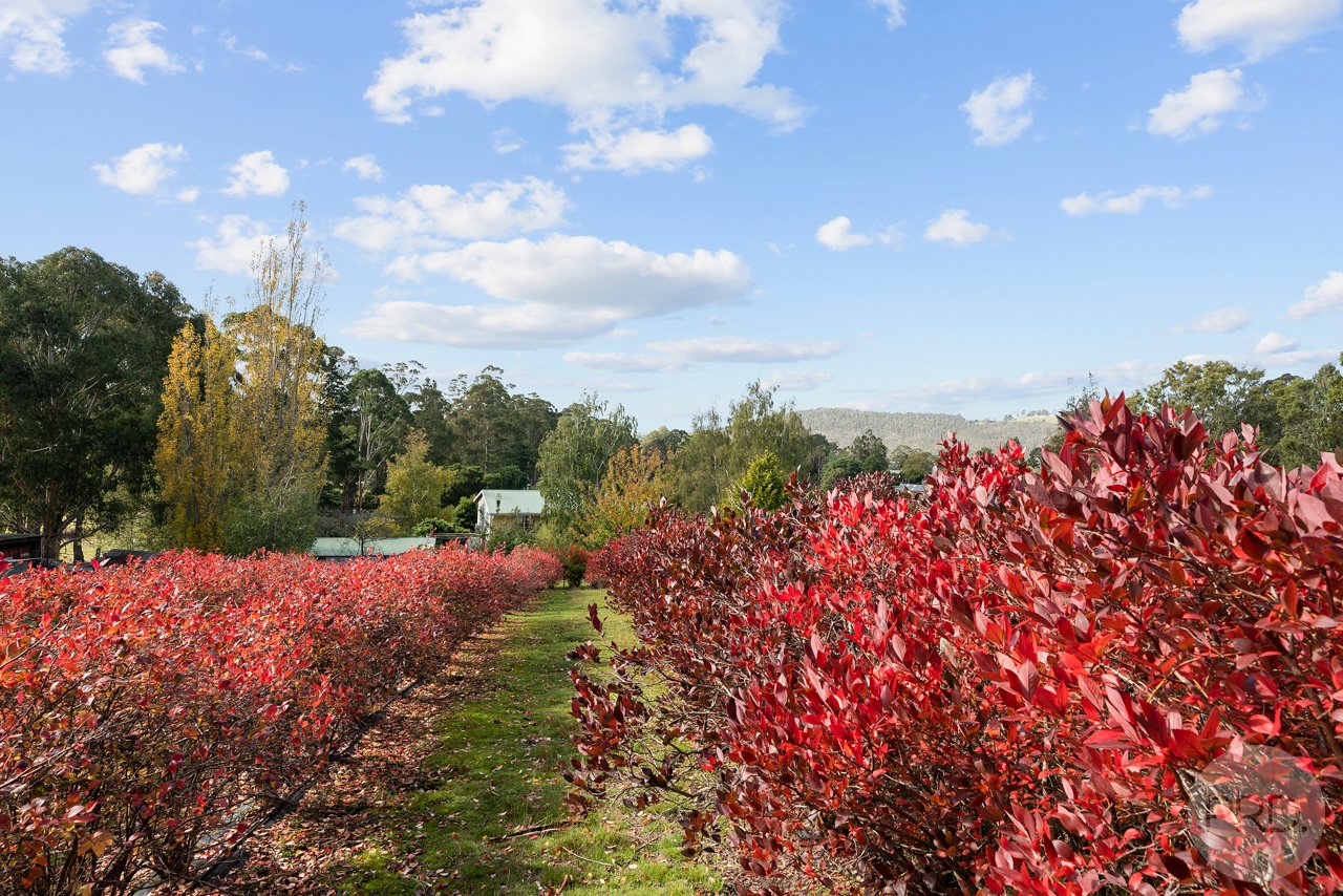 10 Pregnells Road ALLENS RIVULET 9