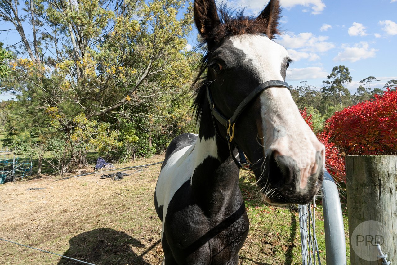 10 Pregnells Road ALLENS RIVULET 31