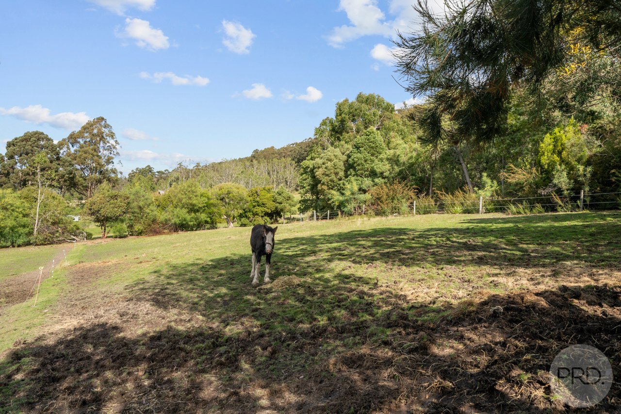 10 Pregnells Road ALLENS RIVULET 35